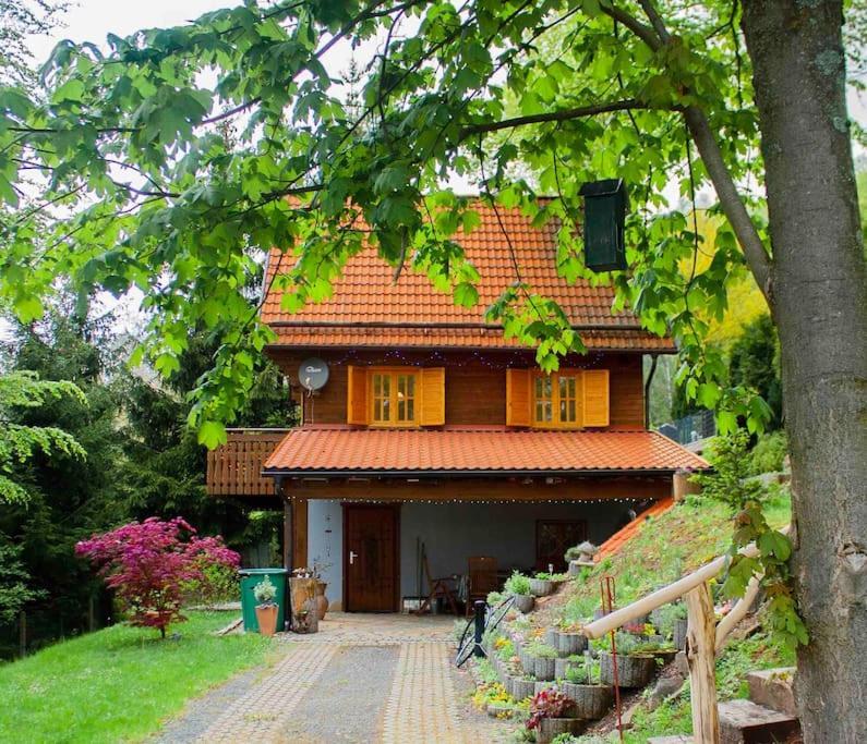 Ferienhaus Sonnenblick Entspannung Mit Sauna Kamin Und Balkon 조네베르크 외부 사진