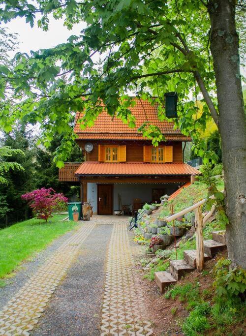 Ferienhaus Sonnenblick Entspannung Mit Sauna Kamin Und Balkon 조네베르크 외부 사진